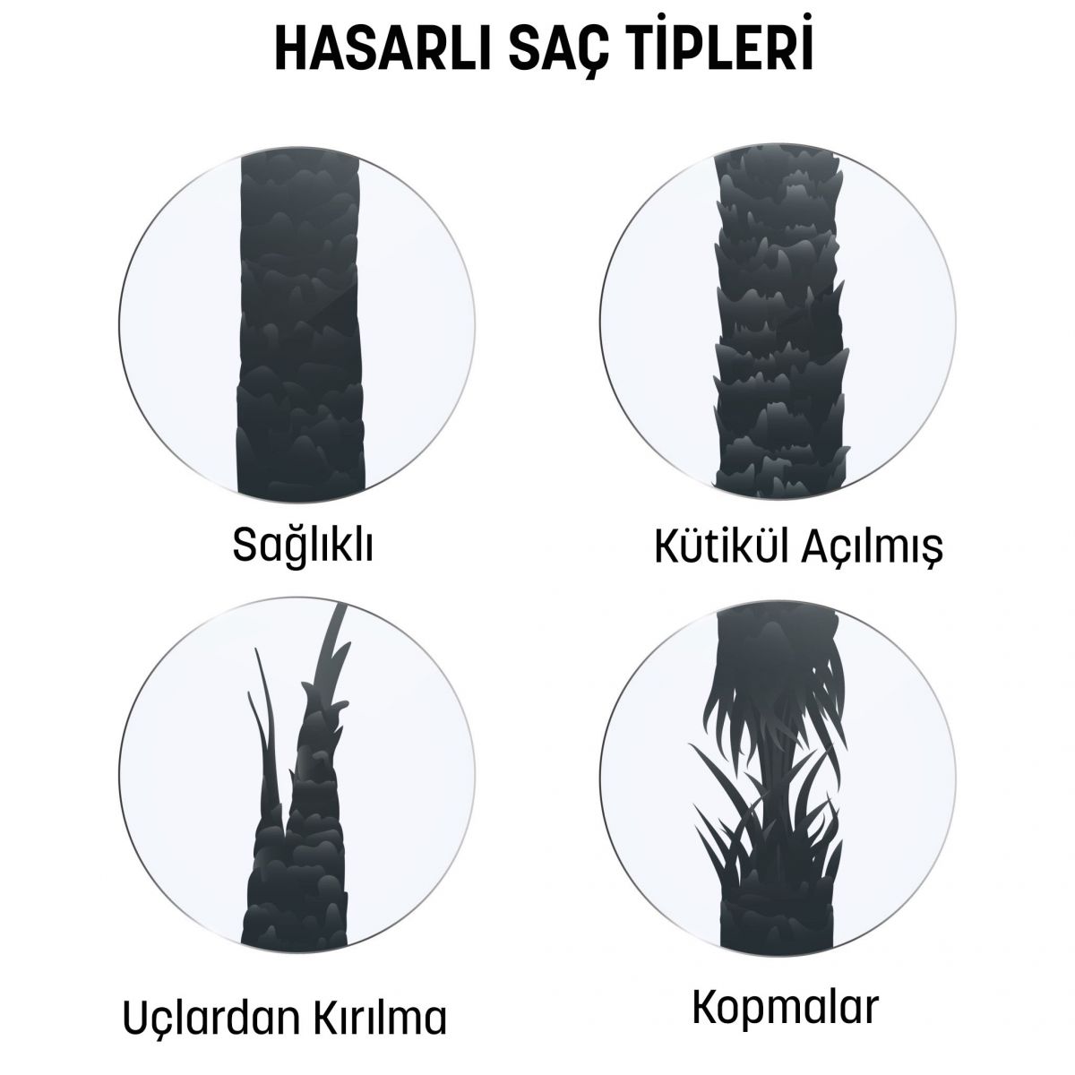 hasarli sac tipleri